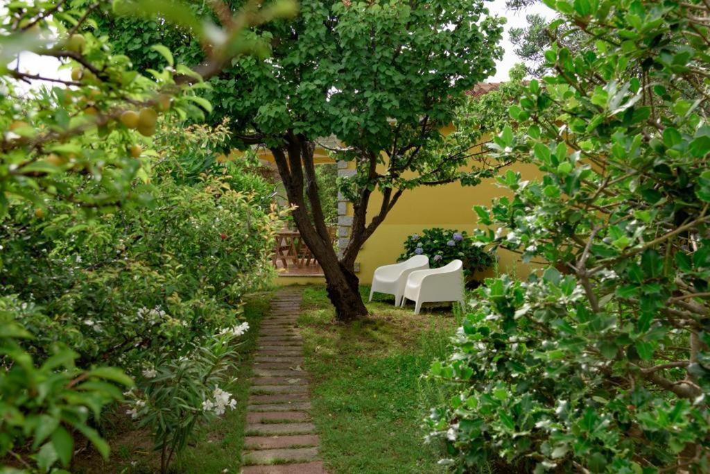 Residence Agrifoglio มอนเตเปโตรซู ภายนอก รูปภาพ