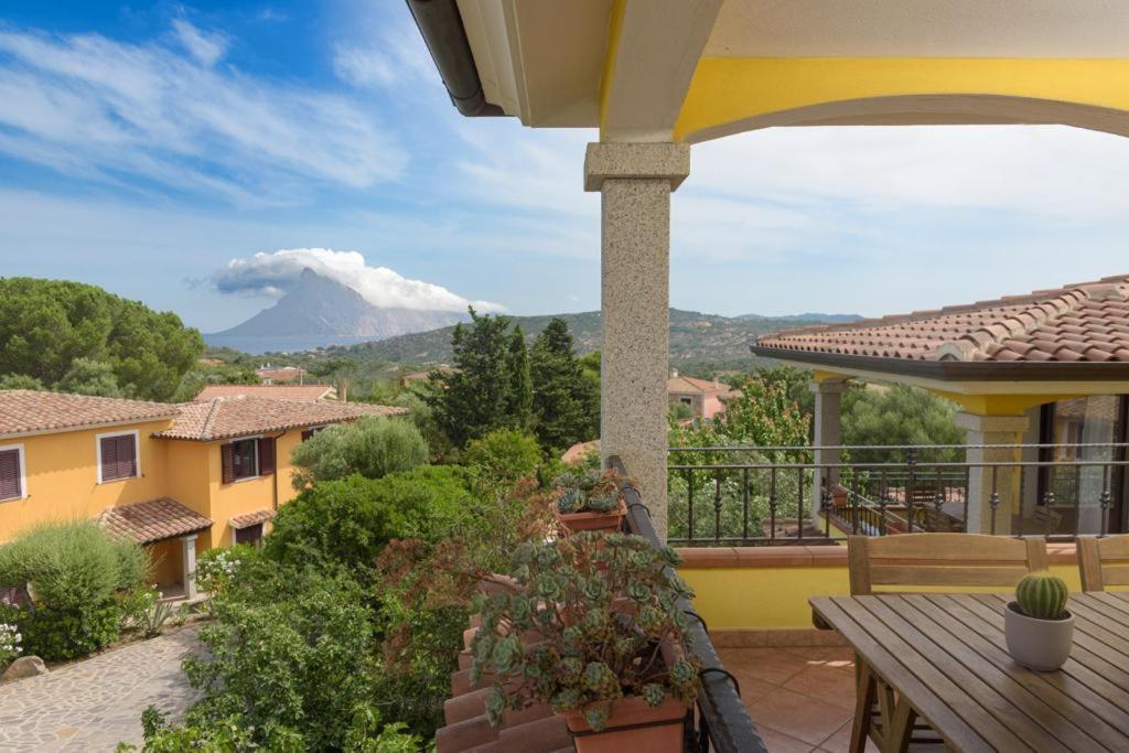 Residence Agrifoglio มอนเตเปโตรซู ภายนอก รูปภาพ